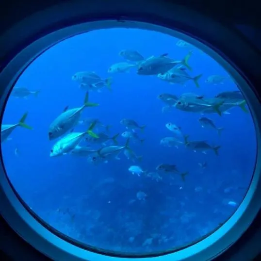 Submarine Night Dive