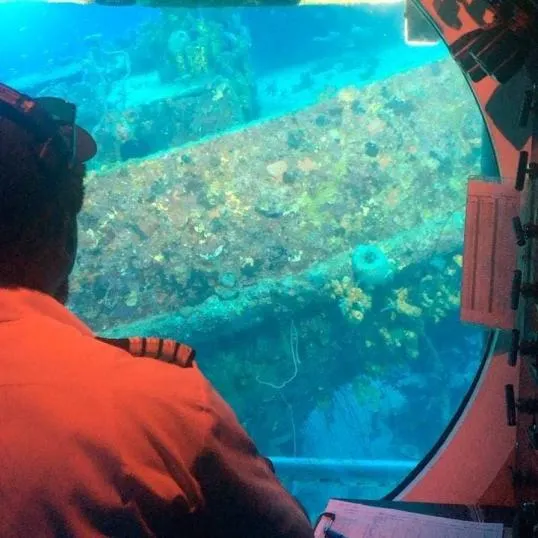 Submarine Night Dive