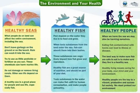Ocean Day Flow Chart