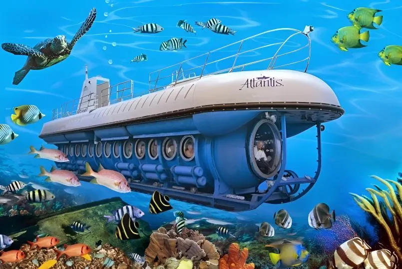 What is the difference between the Submarine Day Tour & the Night Tour?