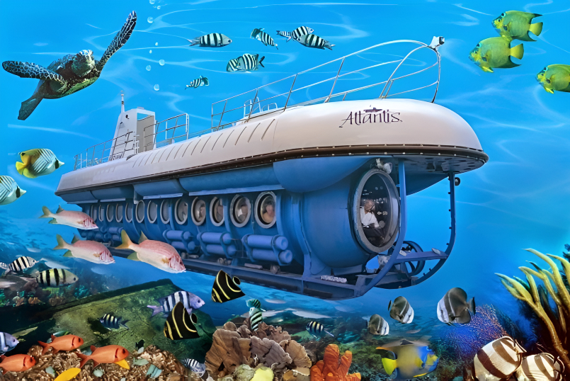 What is the difference between the Submarine Day Tour & the Night Tour?